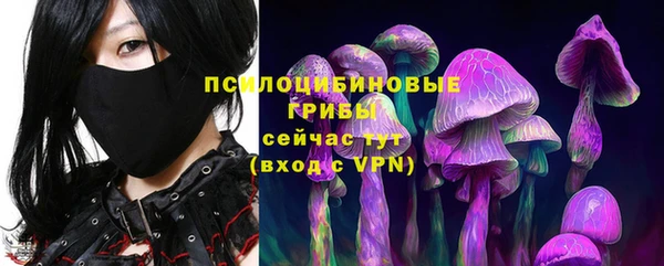 дурь Балахна