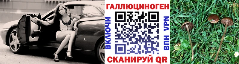 Псилоцибиновые грибы мицелий  Белинский 